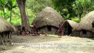 Мертвые птицы долины Балием // "Dead Birds" of the Baliem Valley