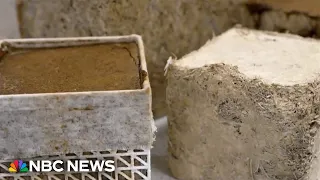 Concrete made from sugarcane could help fight climate change