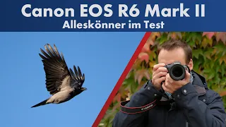 Canon EOS R6 Mark II | Der neue Star für Sport- & Tierfotografie? [Deutsch]