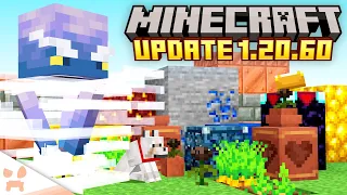 EVERYTHING BIG In Minecraft 1.20.60! (new update out now)