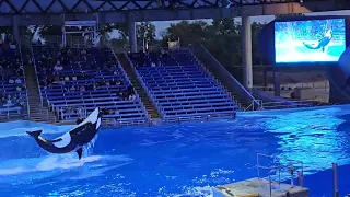 SeaWorld San Antonio