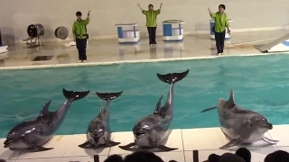 北海道 おたる水族館に行ってきました！ Otaru Aquarium in Hokkaido