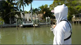 Catching BIG SNOOK on Artificial Lures in Tampa Bay Residential Canals