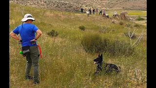 GRAVE DOGS!  In Search of a Massacre on the Oregon Trail