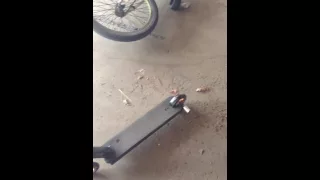 Scooter + chipmunk vid