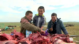ОНИ ЕДЯТ СЫРОЕ МЯСО С КРОВЬЮ. THEY EAT RAW MEAT WITH BLOOD