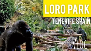 Vlog. LORO Park. Tenerife, Spain