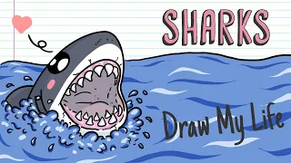 SHARKS, THE HORROR OF THE SEA? | Draw My Life