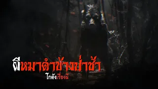 ผีหมาดำข้างป่าช้า | โกดังเรื่องผี EP.233 [เรื่องเล่า]