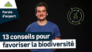 13 gestes pour favoriser la biodiversité au jardin - Parole d’Expert