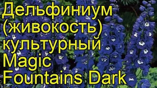 Дельфиниум культурный M. F. Dark Blue with White Bee. Краткий обзор, описание характеристик