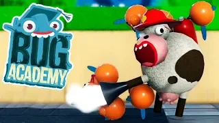 КОМАРЫ-ХУДОЖНИКИ ► Bug Academy #3