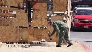 See what illegal fireworks do to a chicken and watermelon