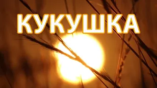 КУКУШКА Виктор Цой (Кавер/Cover) @ Сергей Равес