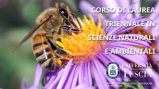 L32 - CORSO DI LAUREA TRIENNALE IN SCIENZE NATURALI E AMBIENTALI