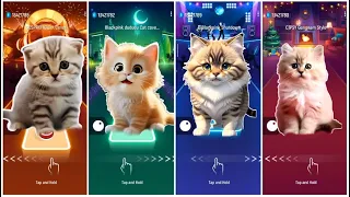 Cute Cats Dance Battle