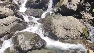 Молочный водопад. Рицинский заповедник. Абхазия