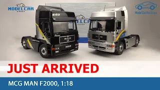 MCG - 1:18 Just arrived MAN F2000