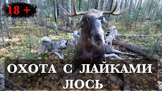 Охота на Лося.