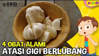 Obat Alami untuk Mengatasi Sakit Gigi Karena Berlubang