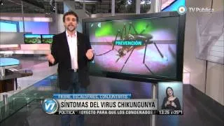 Visión 7 - Síntomas y prevención del virus Chikungunya