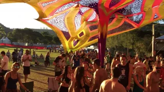 Solaris Festival - Ritmo