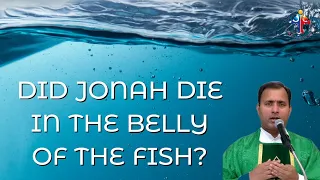 Did Jonah die in the belly of the fish? - Fr Joseph Edattu VC