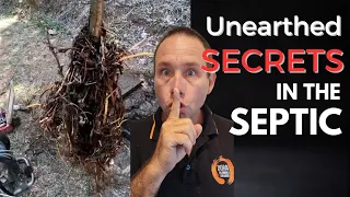 Blocked Drain 420 - Unearthed Secrets: Exploring Roots in a Septic Trench!