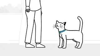 Understanding Cat Body Language | The Battersea way
