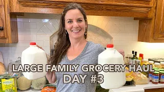 Once a Month 🛒 Large Family Grocery Haul - March #3: Walmart & Target