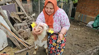 BACIMDAN GÜZEL HABERLER GELDİ ÇOK MUTLUYUZ MİSAFİRLERİM DE VAR 🤲😇