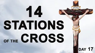 Way of the Cross I The Stations of the Cross I 14 Stations I February 28 I St. Alphonsus Liguori