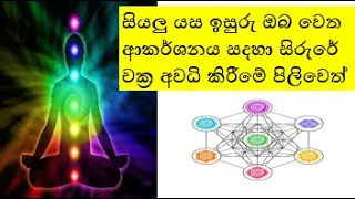 සියලු යස ඉසුරු ඔබ වෙත ආකර්ශනය සදහා සිරුරේ චක්‍ර අවධි කිරීමේ පිලිවෙත් - Law of Attraction