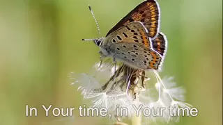 In His Time (with lyrics)