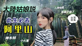 大陸女孩說：去過台灣阿里山，此生無憾｜和小學課本說的一樣嗎？我看到了神仙/巨木林/小火車