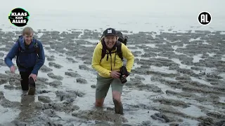 “KIJK EENS! ZEEHONDEN!” // Kan Klaas voor één dag wadloopgids zijn?