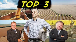 MAIS RICOS DO BRASIL - TOP 3 AGRICULTORES