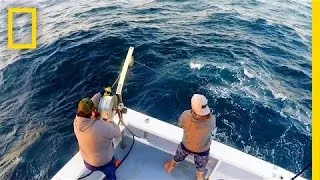 One, Two, Three Bites, You’re Out | Wicked Tuna: Outer Banks
