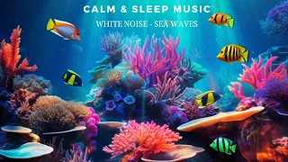 Undersea Nature Relaxation Film 🐠🐟 Sleep lullaby & Sea sounds 🌊 Fall asleep under 3 minutes! 🐠🐟