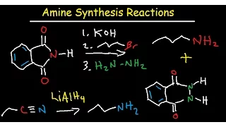 Amine Synthesis Reactions Organic Chemistry - Summary & Practice Problems