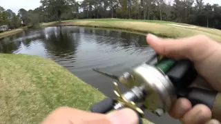 How to Lose a 7lb Huddleston Bass in 15 Seconds