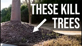 Mulch Volcanoes: Deceptively Deadly