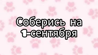 Соберись на 1-сентября 😀#рекомендации #рекомендация #выбирай #выбирашки #выбираем #рек #lisaorlena