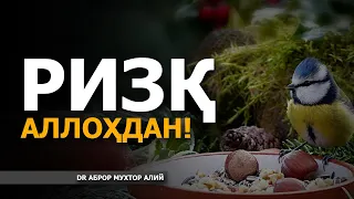 РИЗҚ АЛЛОҲДАН!!! - АБРОР МУХТОР АЛИЙ