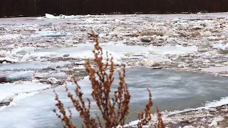 МОЯ ЖИЗНЬ В ДЕРЕВНЕ, ЛЕДОХОД И НЕПРЕДЗКАЗУЕМАЯ ВЕСНА.