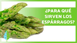 BENEFICIOS de los ESPÁRRAGOS para la SALUD 💚 (Propiedades, Cómo Comerlos y Contraindicaciones)