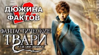 12 Фактов о фильме Фантастические Твари и где они обитают