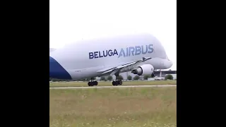 Посадка необычного самолёта Airbus Beluga в Гамбурге