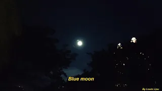 Rod Stewart  Blue Moon feat. Eric Clapton(With Lyrics)