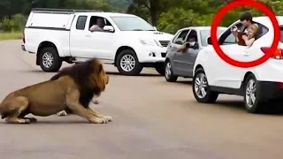 В Кадры с Этого Видео Невозможно Поверить, но Их Удалось Снять на Камеру